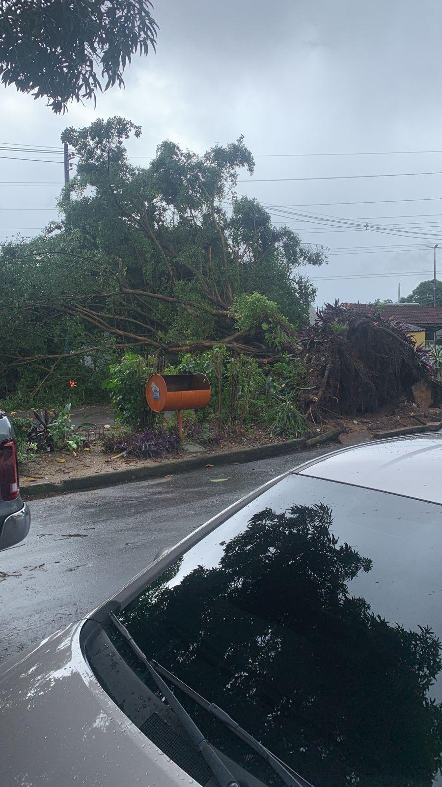 WhatsApp Image 2023-02-14 at 13.36.06