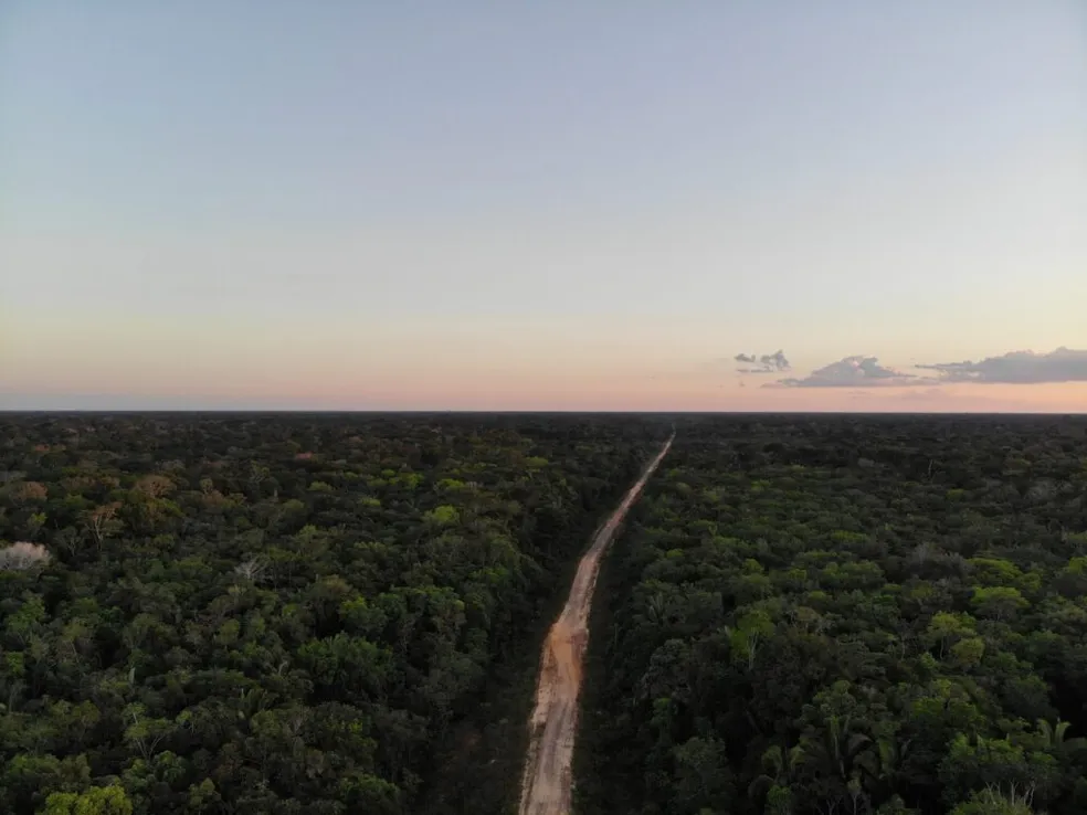 jacareuba-katawixi-idesam