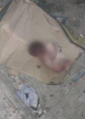 recem-nascido-encontrado-em-caixa-na-brasilandia-sp-26032023080048670