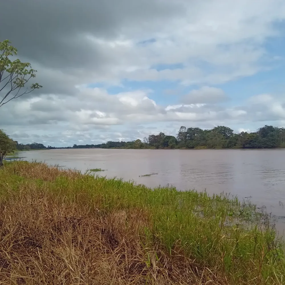rio-parana-limao-em-barreirinha