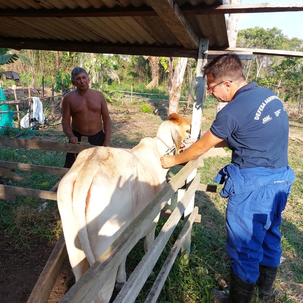 whatsapp-image-2023-03-10-at-16.11.12