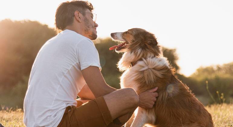 pet-18042023191740480