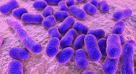 acinetobacter-baumannii-25052023133111799