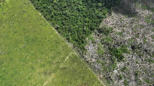 2023-01-20t024415z-1899977433-rc2pty9um3pu-rtrmadp-3-brazil-environment