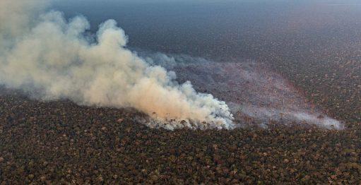 20230905-queimadas-greenpeace-mc1-511x262-1