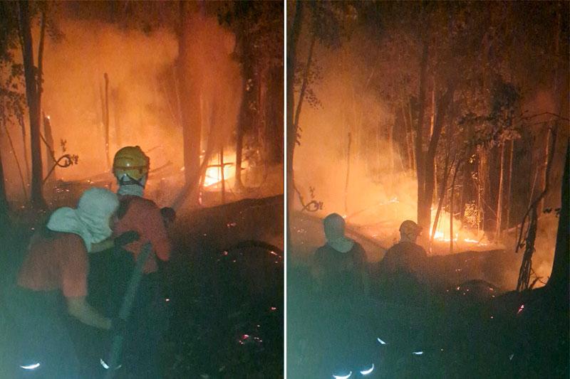 Incendios-no-amazonas