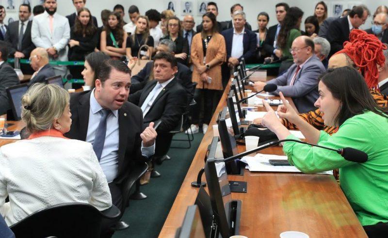 Samia-Bomfim-e-alvo-de-duas-representacoes-uma-por-sua-atuacao-na-CPI-do-MST-Foto-Divulgacao-800x492-1