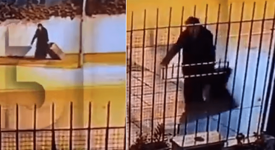 Captura de tela 2024-04-12 101310