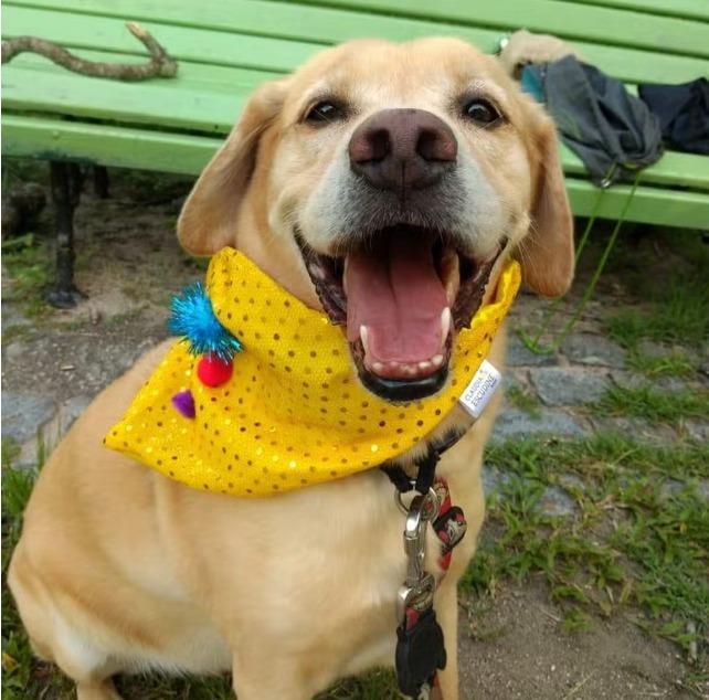 WhatsApp-Image-2024-06-10-at-13.03.36