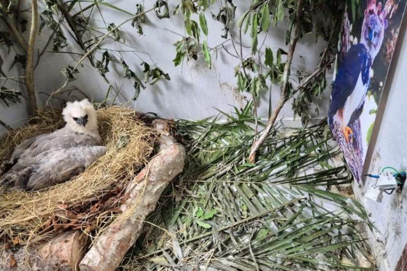 FOTO-MATERIAS-THIAGO-3-2