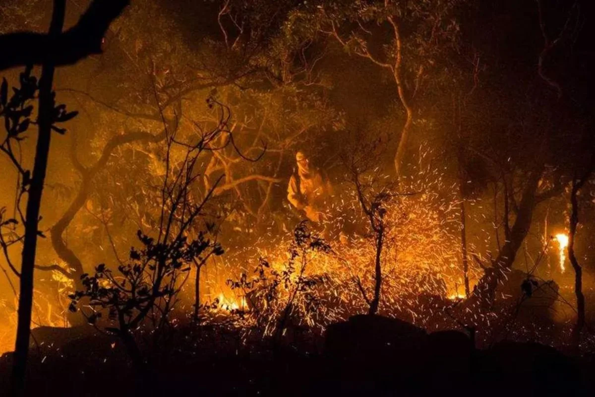 incendio-Parque-Nacional-da-Chapada-dos-Veadeiros