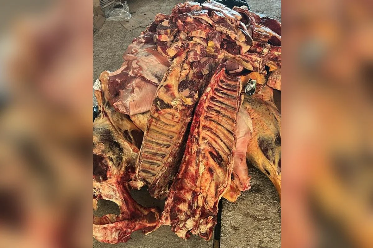 carne-vencida-ha-dois-anos-e-apreendida-