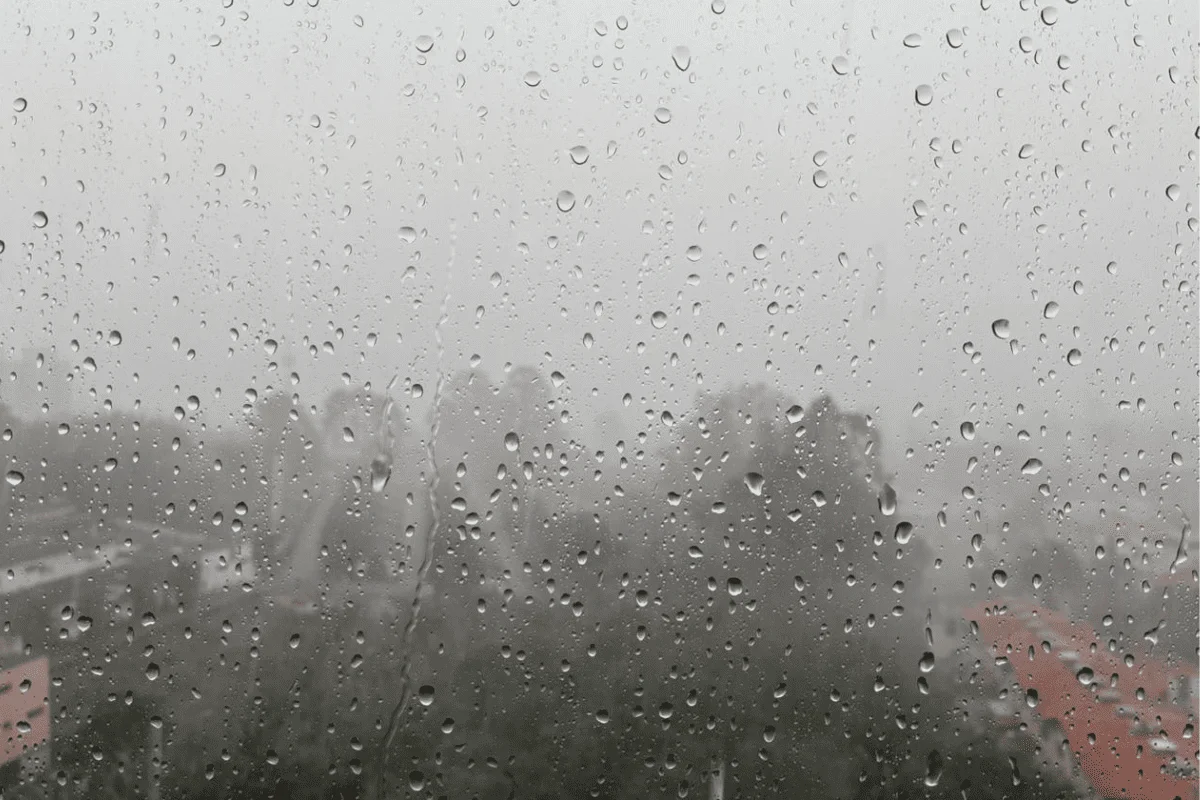 design-sem-nome-2025-11-17T131108.091-1 (1)