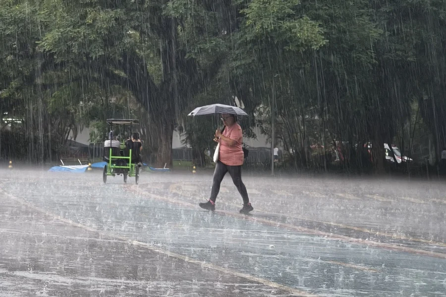 8d678a8e-chuvasp202501