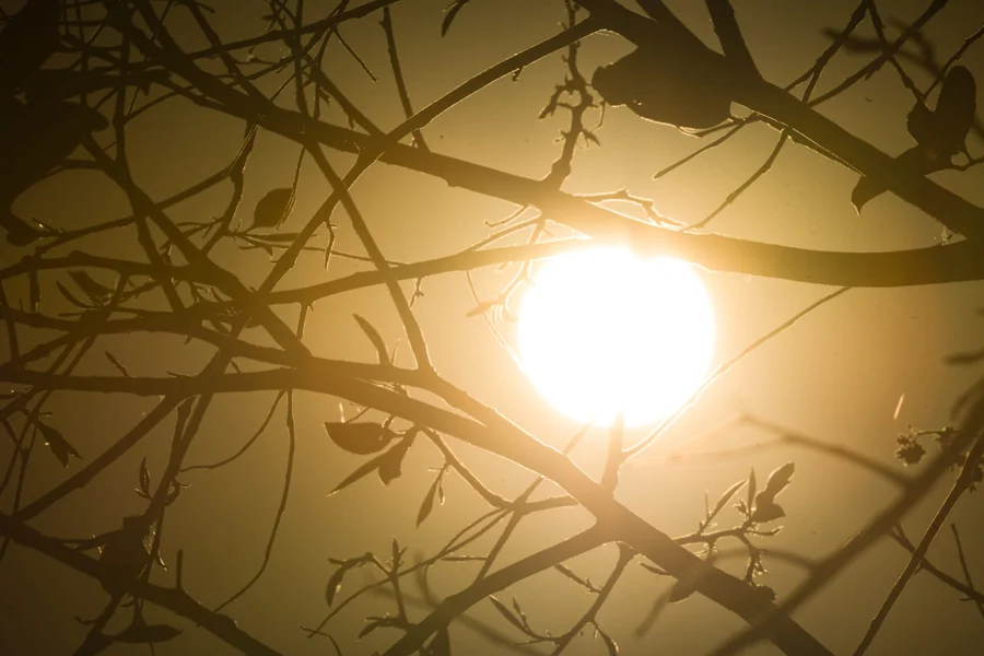 Previsao-aponta-para-calor-extremo-para-o-fim-de-semana.-Onda-de-calor-se-intensifica-e-Brasilia-deve-bater-recordes-de-temperatura-baixa-humidade-seca-Metropoles-15-scaled