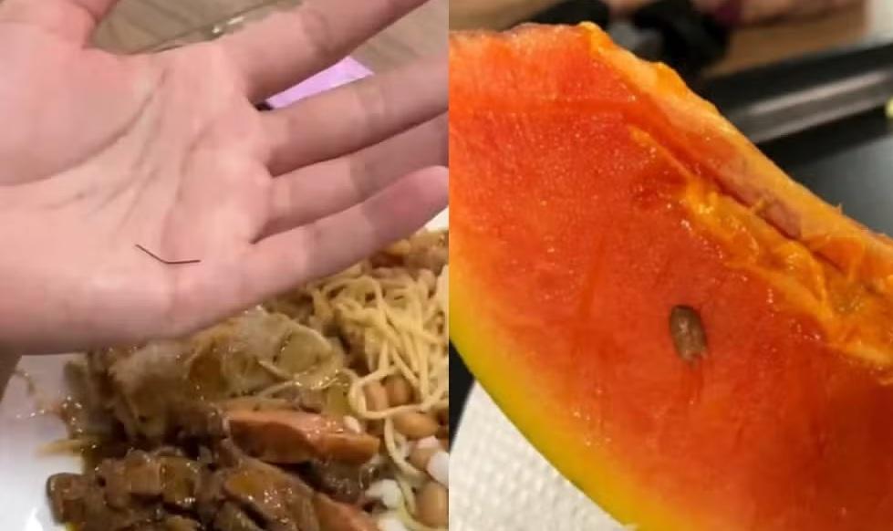 alimento estragados