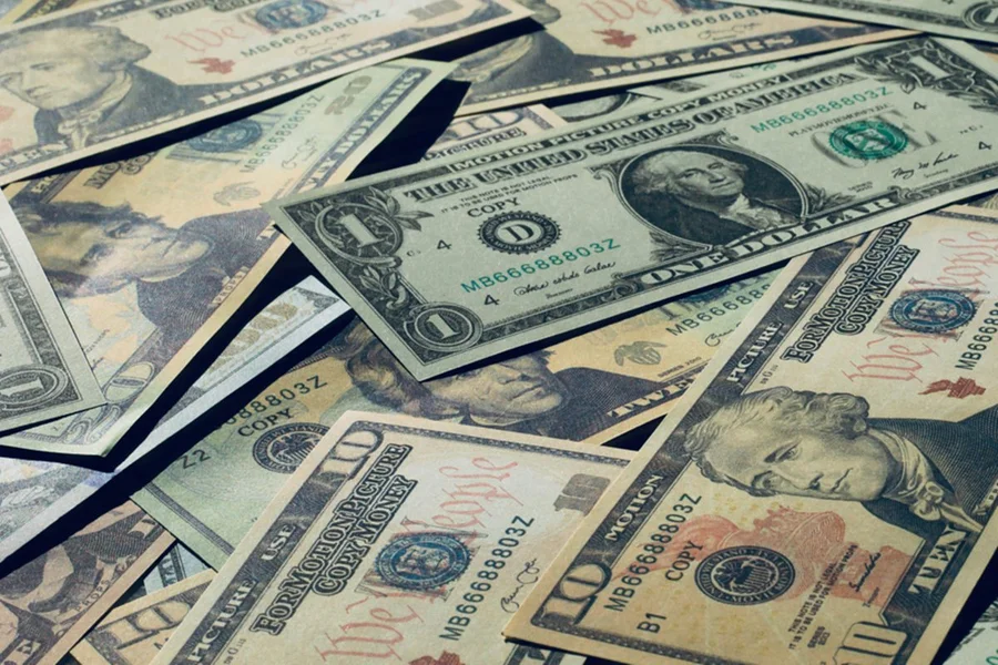 dolar-19 (4)