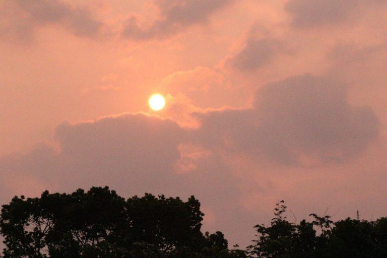 Amazonas-sol-intenso-768x512