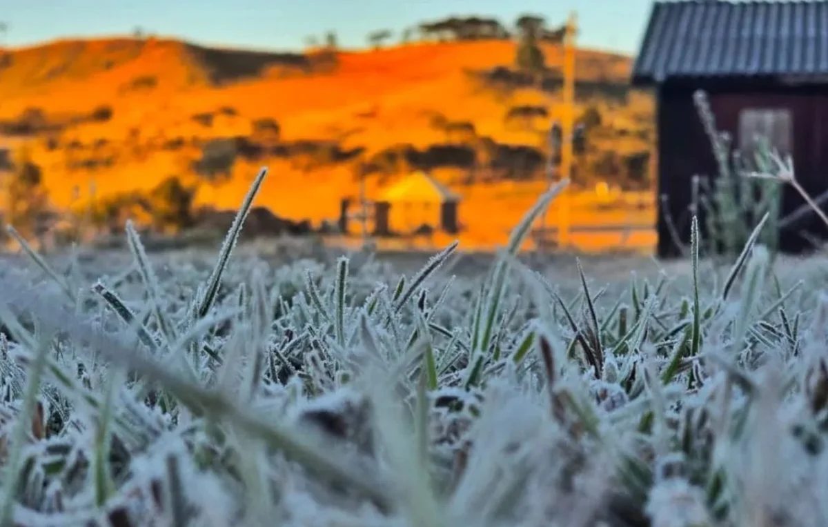 foto-frio-santa-catarina