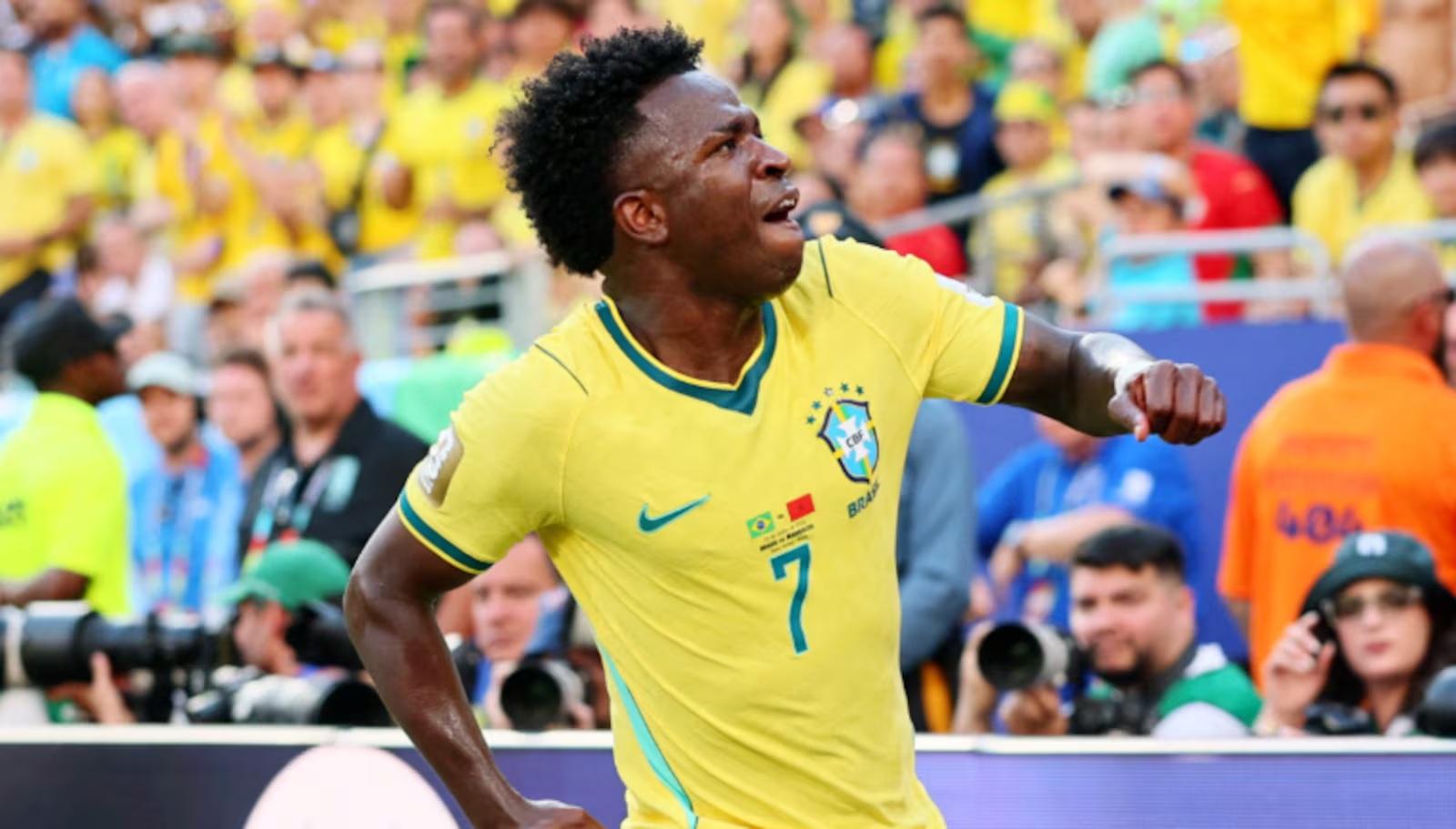 vini