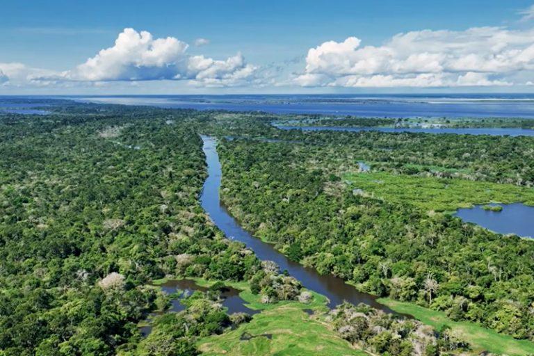 Amazonia-768x512