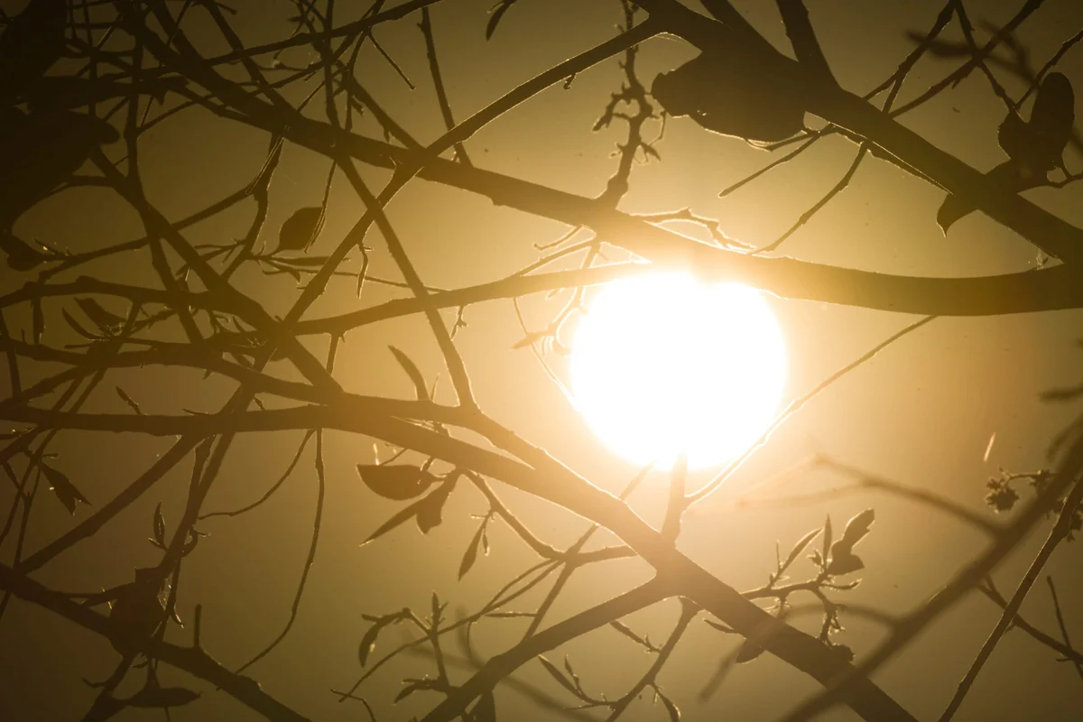 Previsao-aponta-para-calor-extremo-para-o-fim-de-semana.-Onda-de-calor-se-intensifica-e-Brasilia-deve-bater-recordes-de-temperatura-baixa-humidade-seca-Metropoles-15-scaled (2)
