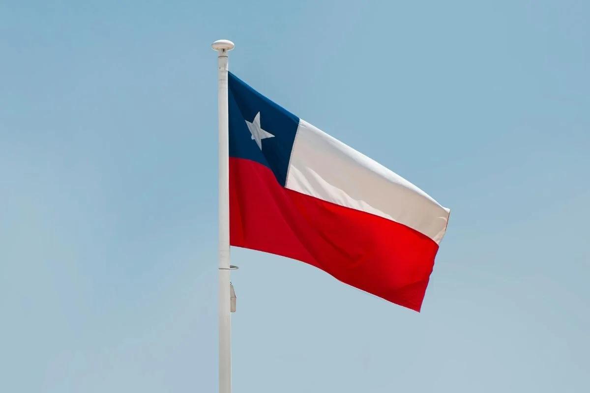 chile ban