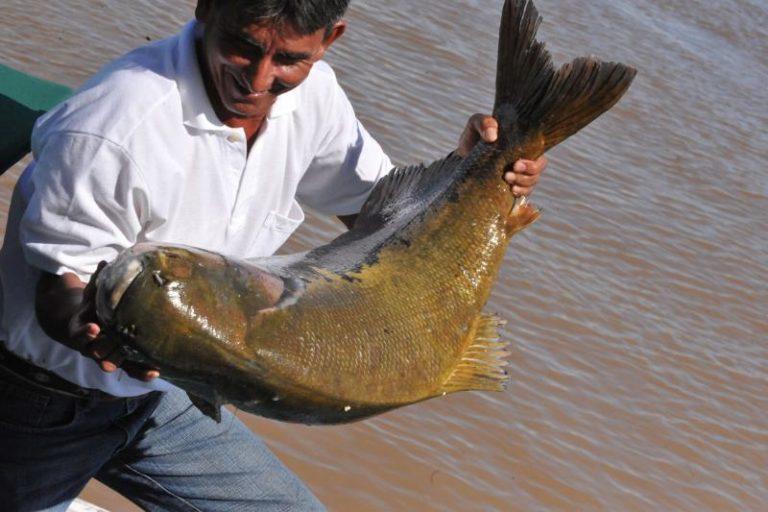 Tambaqui-pescador-768x512