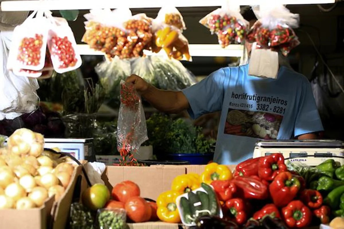 alimentos (1)