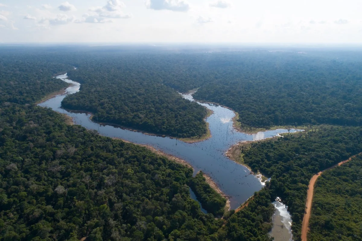 floresta-amazonica-rio-jamari (1)