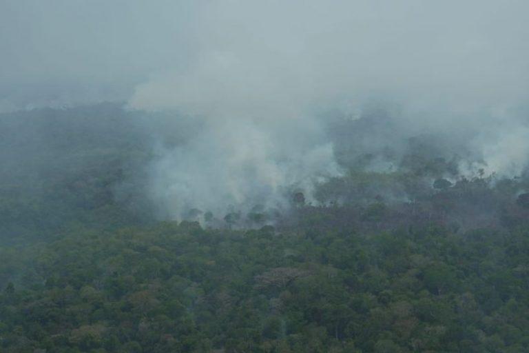 fumaca-vindo-de-queimada--768x512