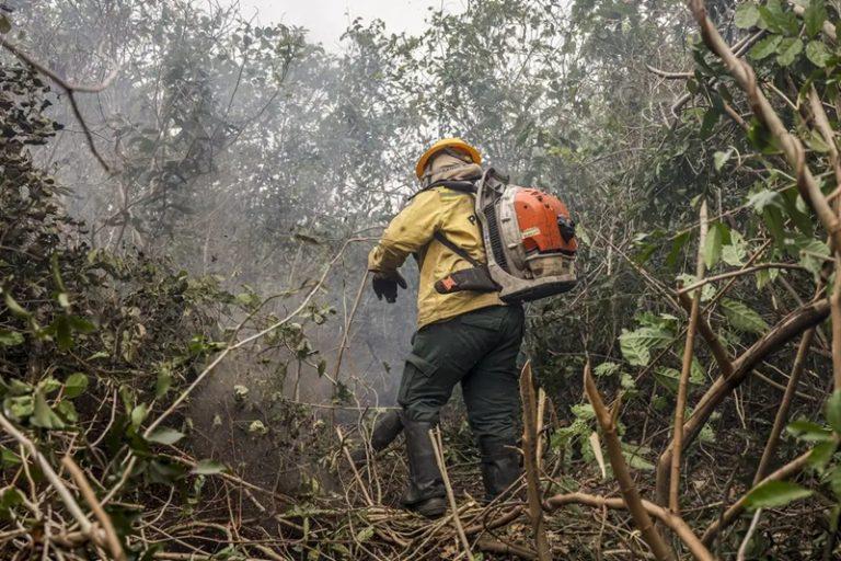 incendios-no-Amazonas-768x512